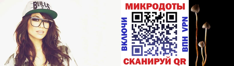 Псилоцибиновые грибы мицелий  Великий Новгород 